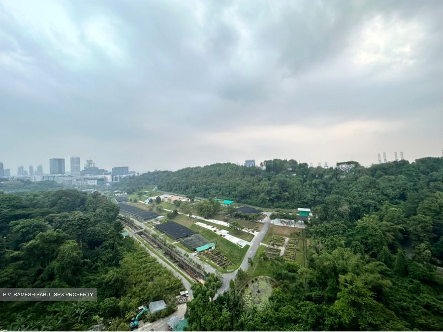 Normanton Park (D5), Apartment #602267151